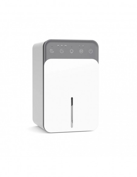 Intelligent Portable Dehumidifier with Deodorizing, Moisture Absorbing